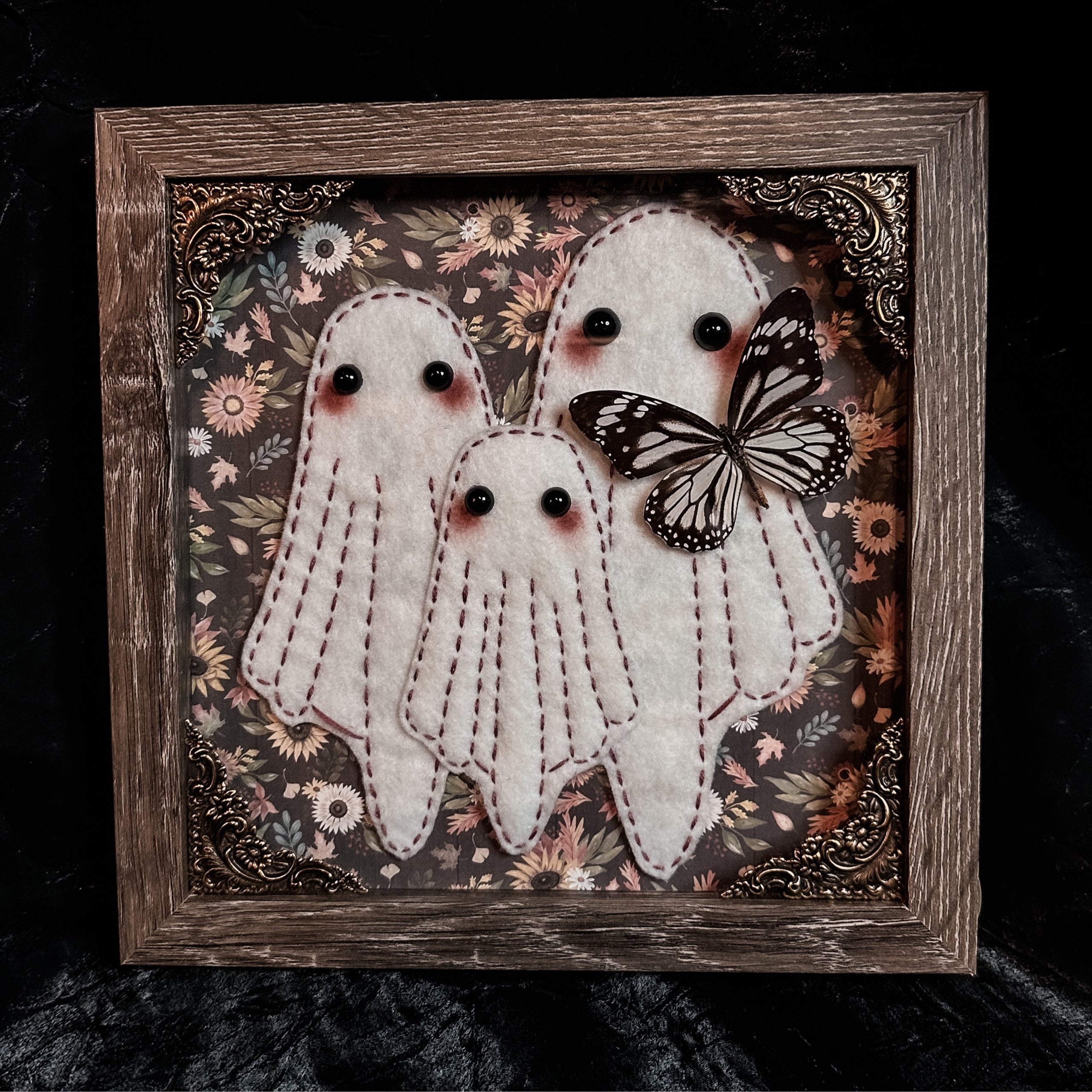 Ghost Butterfly hot Taxidermy